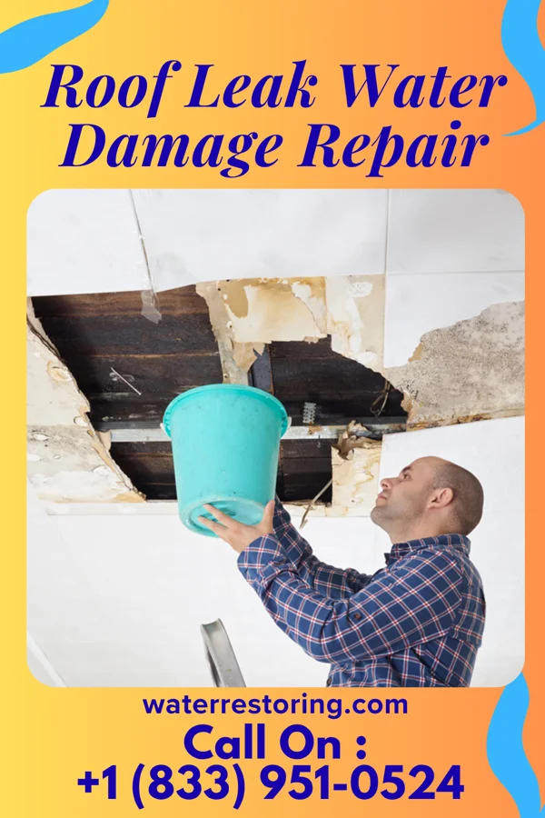 Roof Leak Water Damage Repair in Lopatcong Overlook, NJ