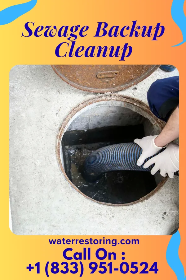 Sewage Backup Cleanup in Lopatcong Overlook, NJ