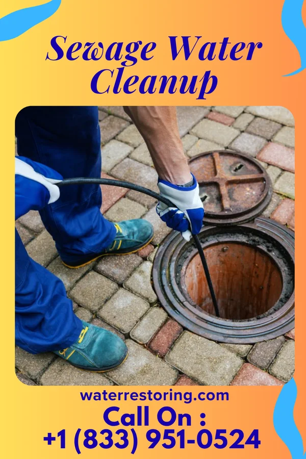 Sewage Water Cleanup in Lopatcong Overlook, NJ